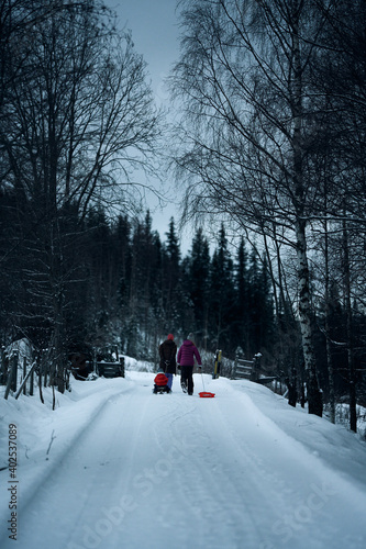 Toboggan or sleigh riding in the winter is a poplar activity in Norway. Pulling the sleigh up the hill is not that fun. 