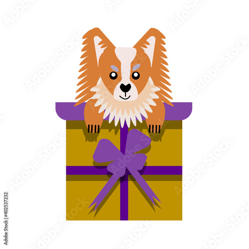 A puppy as a gift. Vector icon portrait of a small dog looking out of a box, drawn in the flat style. Cute Papillon  puppy. Vector illustration in cartoon style. Toy dog