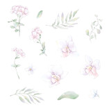 Set of watercolor Flowers orchids, watercolor illustration