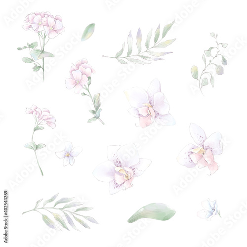 Set of watercolor Flowers orchids  watercolor illustration