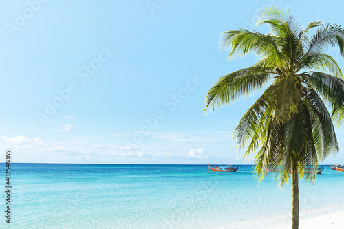 Tropical paradise. Palm or coconut trees on beach and turquoise sea in Lipe island.