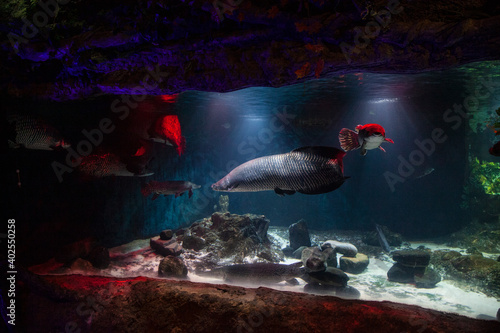 landscape with castle