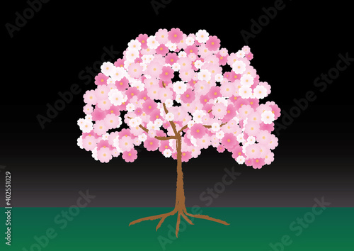 桜