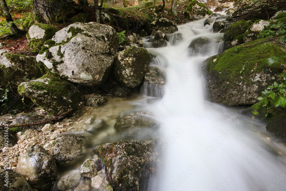 Mountain creek, Voje Valley, Bohinj, Slovenia Mountain creek, Voje Valley, Bohinj, Slovenia