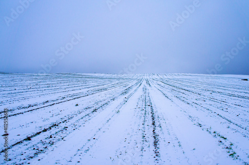 Agro field landscape on winter evening in blue colors