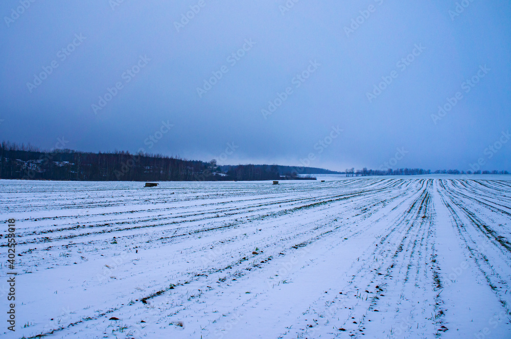 Agro field landscape on winter evening in blue colors Agro field landscape on winter evening in blue colors
