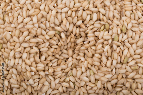 Unpolished brown rice texture of top view.