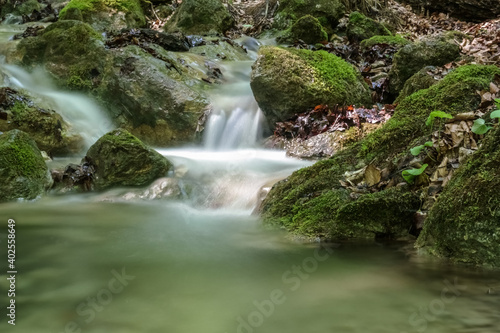 soft clear flowing water in a gorge and green nature