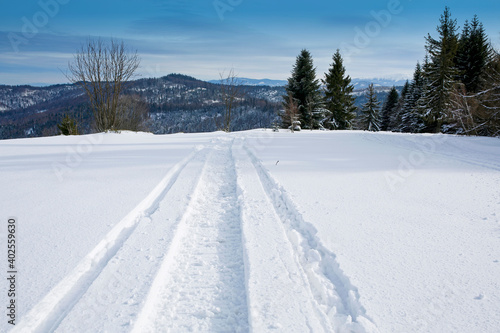 Fototapeta Naklejka Na Ścianę i Meble -  fresh snowmobile trail in the snow on a mountain slope