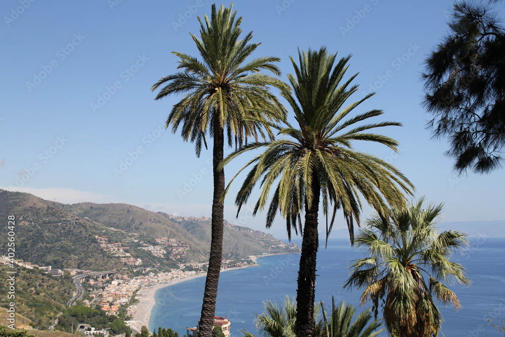 tall palm trees on a hill, in the background the sea and the bay with the coast and beaches, houses by the sea, Sicily