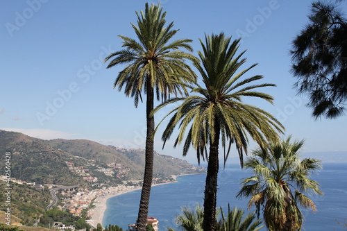 tall palm trees on a hill, in the background the sea and the bay with the coast and beaches, houses by the sea, Sicily
