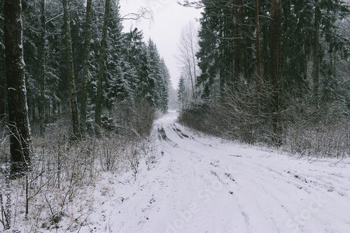 Wallpaper Mural Beautiful landscape with empty snow-covered road and conifer forest on a snowy winter day Torontodigital.ca