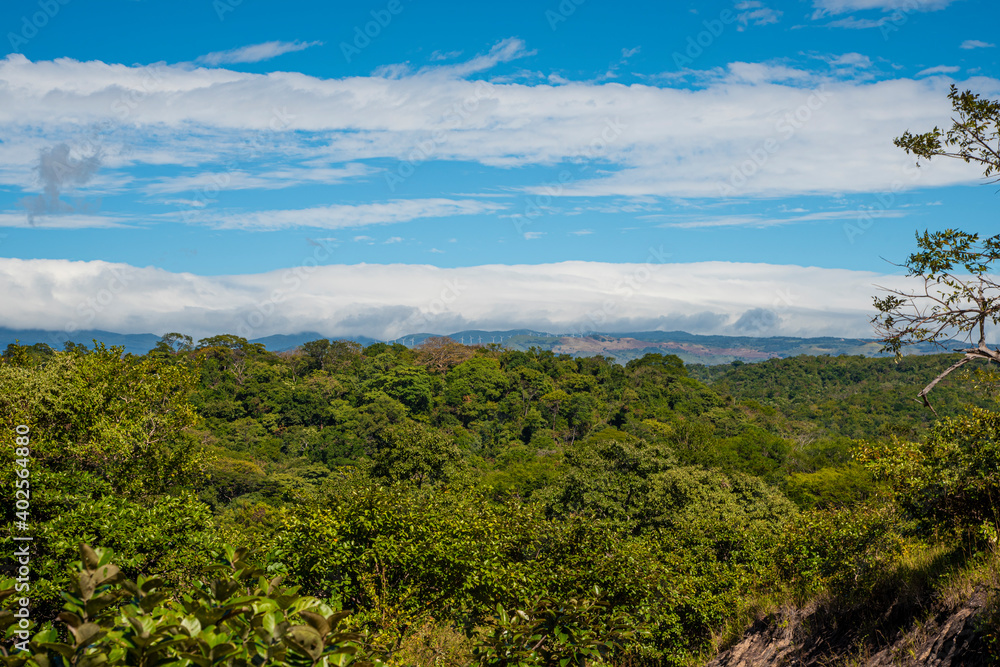 Bosque seco de Costa Rica con la cordillera al horizonte Stock Photo