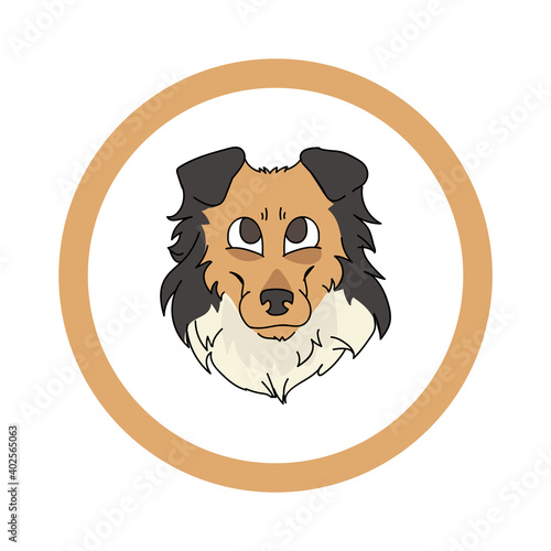 Cute cartoon Scootish Collie face in circle dog vector clipart. Pedigree kennel doggie breed for kennel club. Purebred domestic dog training for pet parlor. Illustration mascot. Isolated canine. 