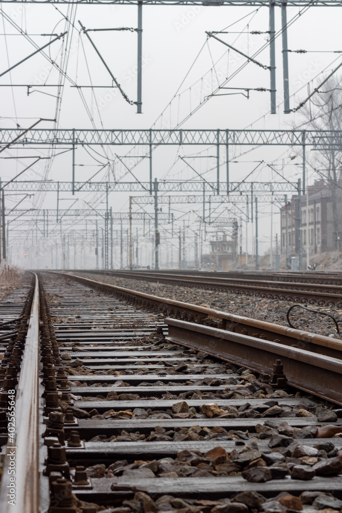 Fototapeta premium Tory