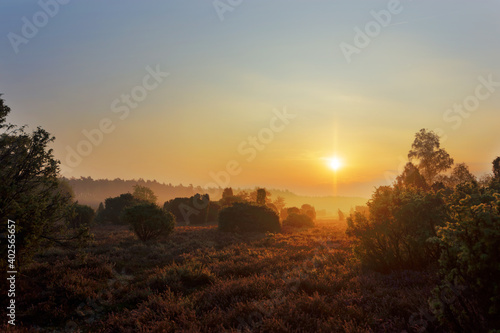 Morgensonne in der Wacholderheide