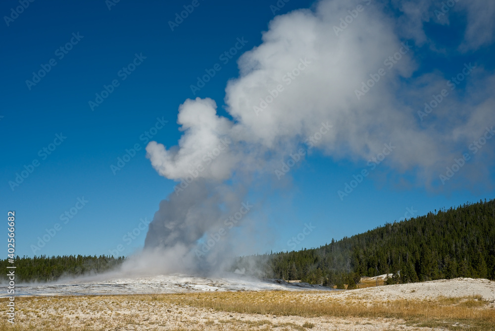 Old Faithful erupting in Yellowstone National Park