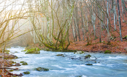 Fototapeta Naklejka Na Ścianę i Meble -  beautiful emerald river rushing through the red autumn forest, natural scene