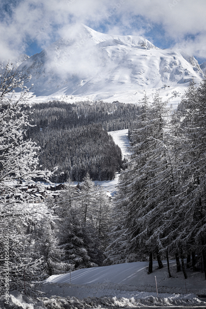 Fototapeta premium winter in the mountains