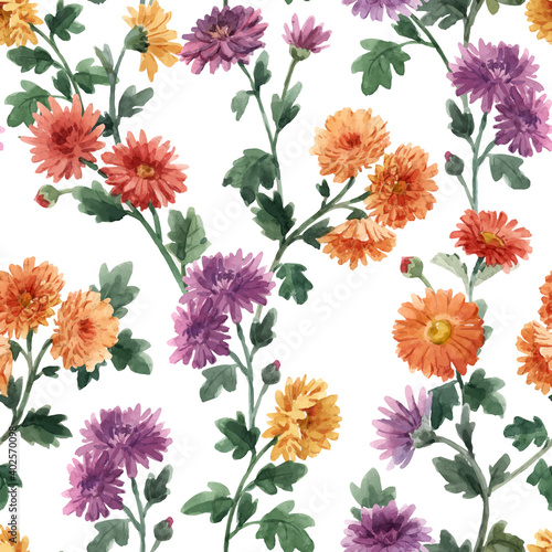 Beautiful seamless floral pattern with watercolor gentle blooming chrysanthemum flowers. Stock illustration.