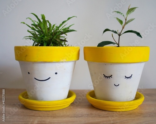 Φωτογραφία Mr and Mrs yellow smiling plant pots with plants growing from the top