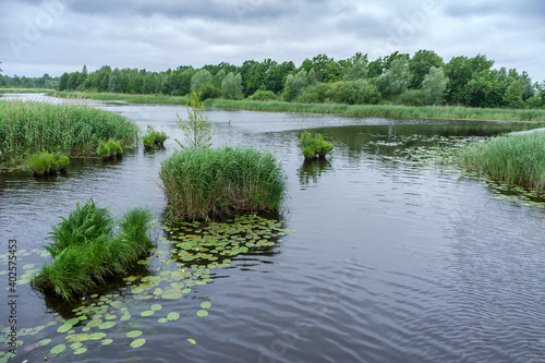 Fototapeta Naklejka Na Ścianę i Meble -  Lake or fishing pond. Landscape a beautiful pond. Forest natural pond.
