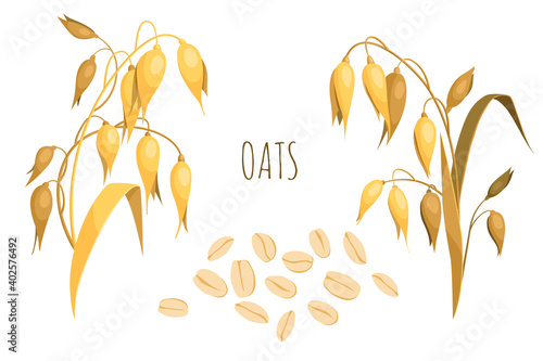 Ears of oats and oat flakes. Cartoon vintage illustration isolated on white background