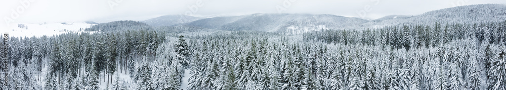 Panorama Schwarzwald Schnee Wald mit Tannen