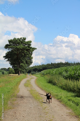 Norddeutschland, Wanderung auf einem Nordpfad (Hinzel); Hiking in Northern Germany