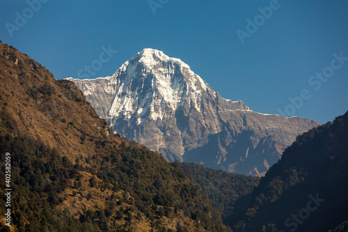 Himalayan mountain peak view from village (Annapurna peak in Nepal )