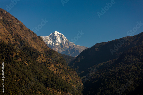 Himalayan mountain peak view from village (Annapurna peak in Nepal ) © krishna