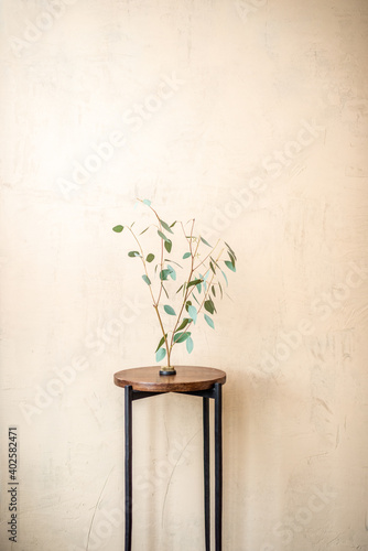 Bunch of Eucalyptus on a small table on a beige wall background