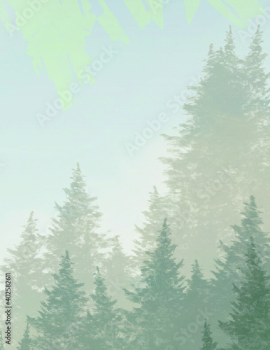 winter forest background © Nurul