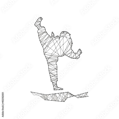 Particles line art and dot martial art design vector