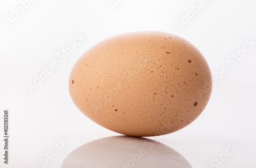 Brown egg food on white background.