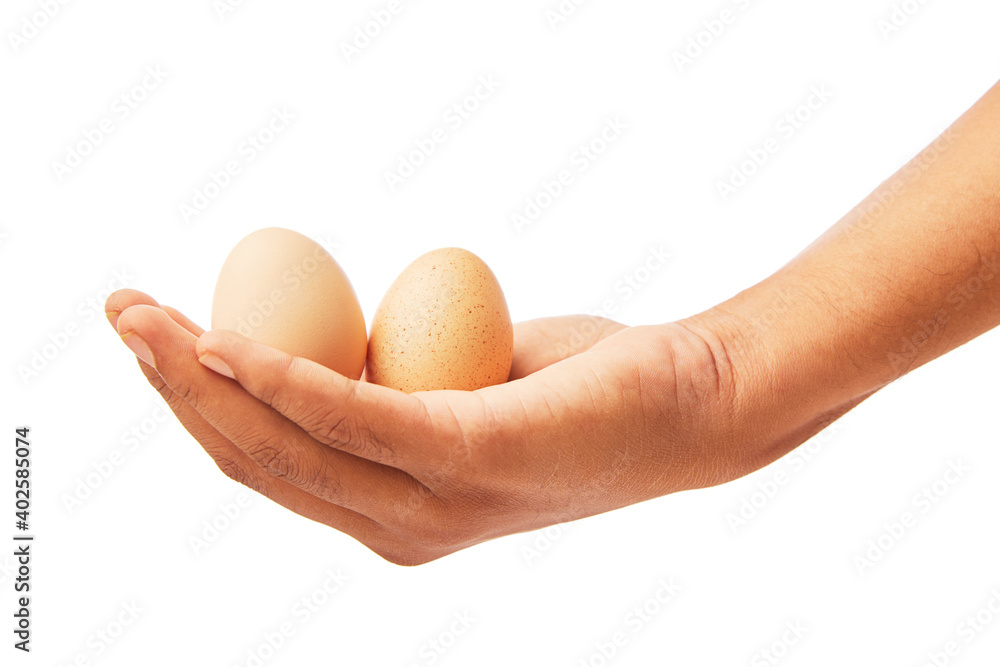 Hand with egg isolated on white. Hand with egg isolated on white.