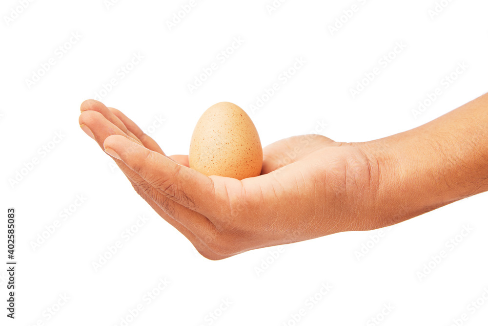 Hand with egg isolated on white. Hand with egg isolated on white.