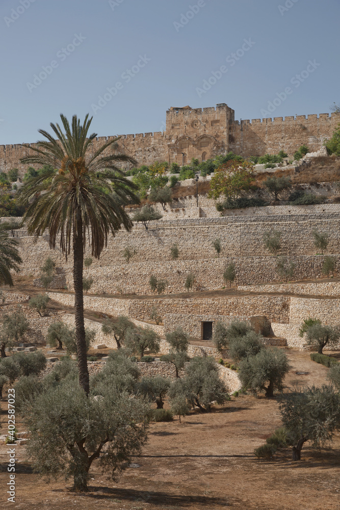 Terraces of the Kidron Valley and the the wall of the Old City in Jerusalem in Israel