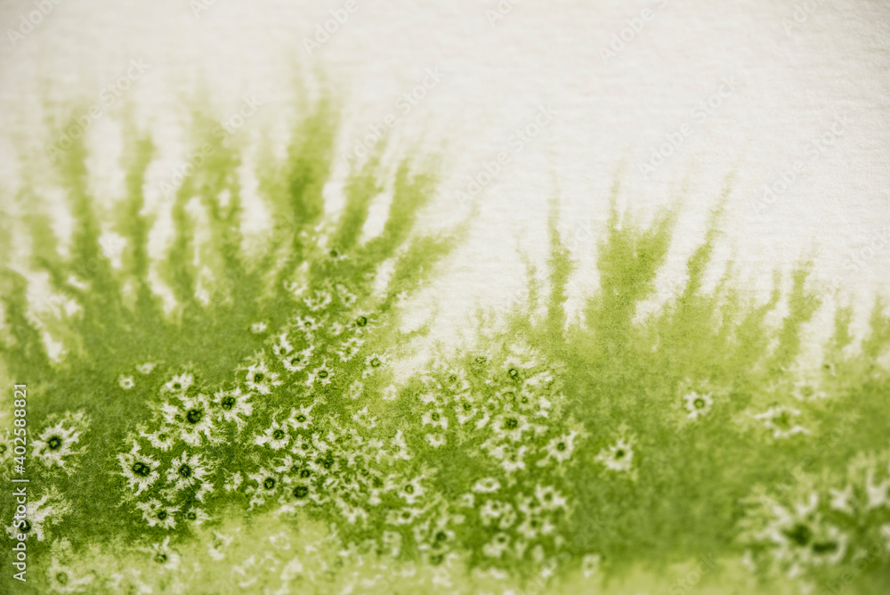 Fototapeta premium Hintergrund, grünes Aquarell mit Salztechnik wirkt wie eine Wiese oder Pflanze mit weiße Blüten oder Sternen