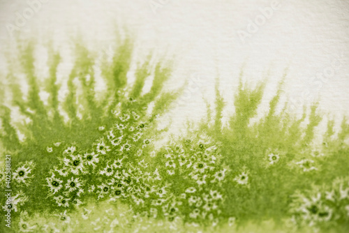 Fototapeta Naklejka Na Ścianę i Meble -  Hintergrund, grünes Aquarell mit Salztechnik wirkt wie eine Wiese oder Pflanze mit  weiße Blüten  oder Sternen
