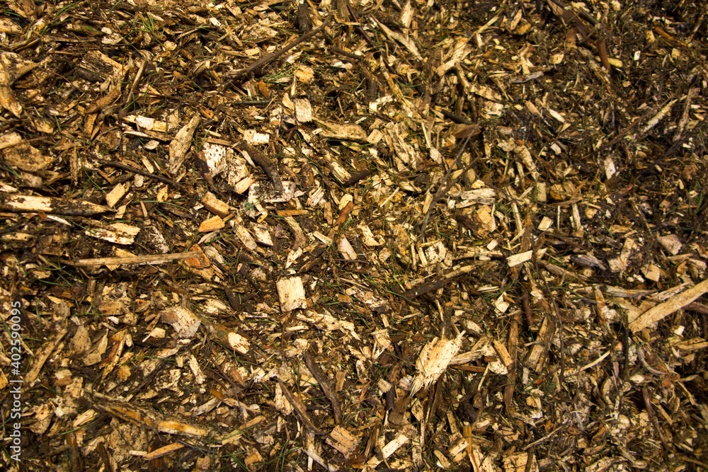 biomass in the form of wood chips with impurities lying on a heap as fuel biomass in the form of wood chips with impurities lying on a heap as fuel