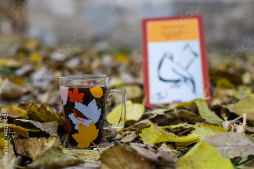Fototapeta Naklejka Na Ścianę i Meble -  Autumn scene. Coffee cup and books