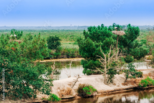 River Leyre with white storks on nest