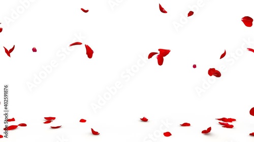 Red rose petals fly from both sides and fall to the floor. 4K video quality. Isolated white background