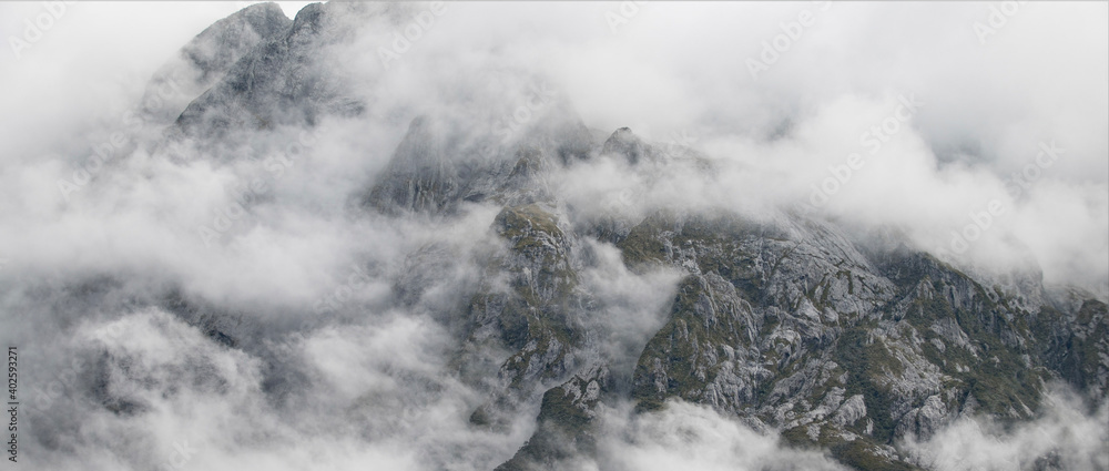 Obraz premium black and white