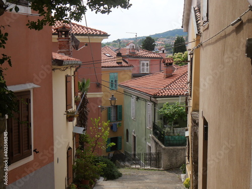 typical street in Muggia    narrow uphill street that lead to the Castle and along which the doors and windows of the houses overlook. On the windowsills terracotta flower pots
