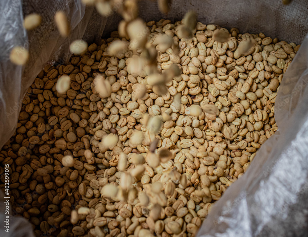 Obraz premium dry coffee entering a sack