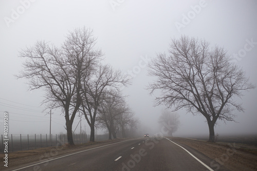 trees without leaves in the autumn in the fog by the road along which the car is driving in the distance. Dramatic mysterious landscape.