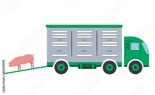 Truck for transporting livestock and pigs with the image of a pink pig with a tag on the ear. Color illustration in green and gray. Flat vector image.