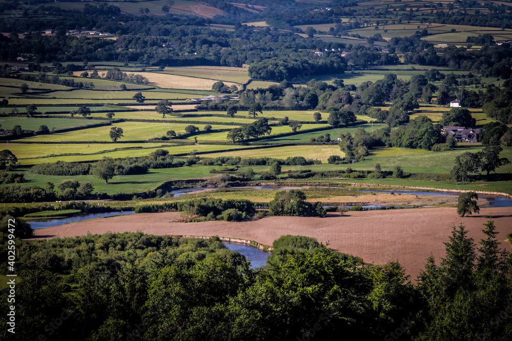 landscape with fields